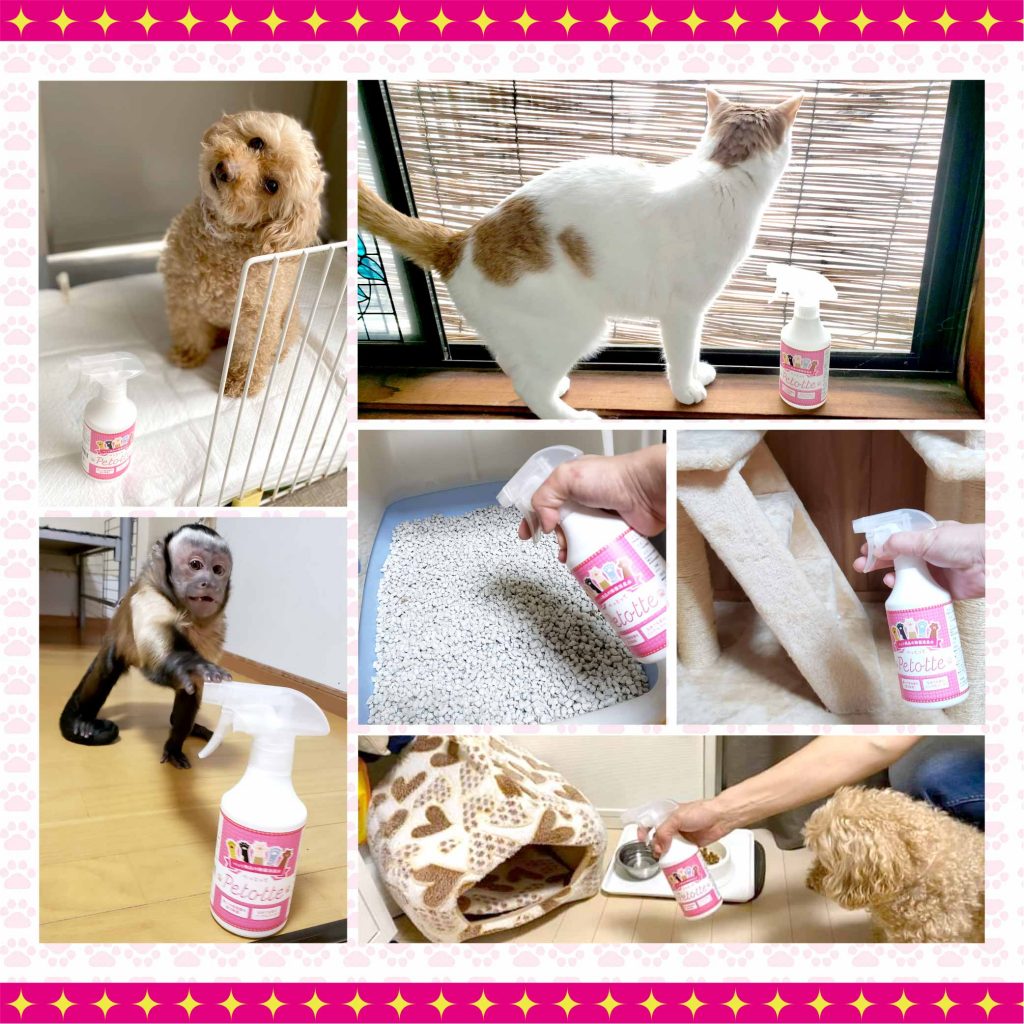 ペット用品の除菌消臭水Petotte | 株式会社ジオメディカル ペット用品の除菌消臭水Petotte | 株式会社ジオメディカル